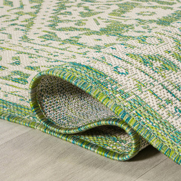 Sinjuri Medallion Textured Weave Indoor/outdoor Area Rug